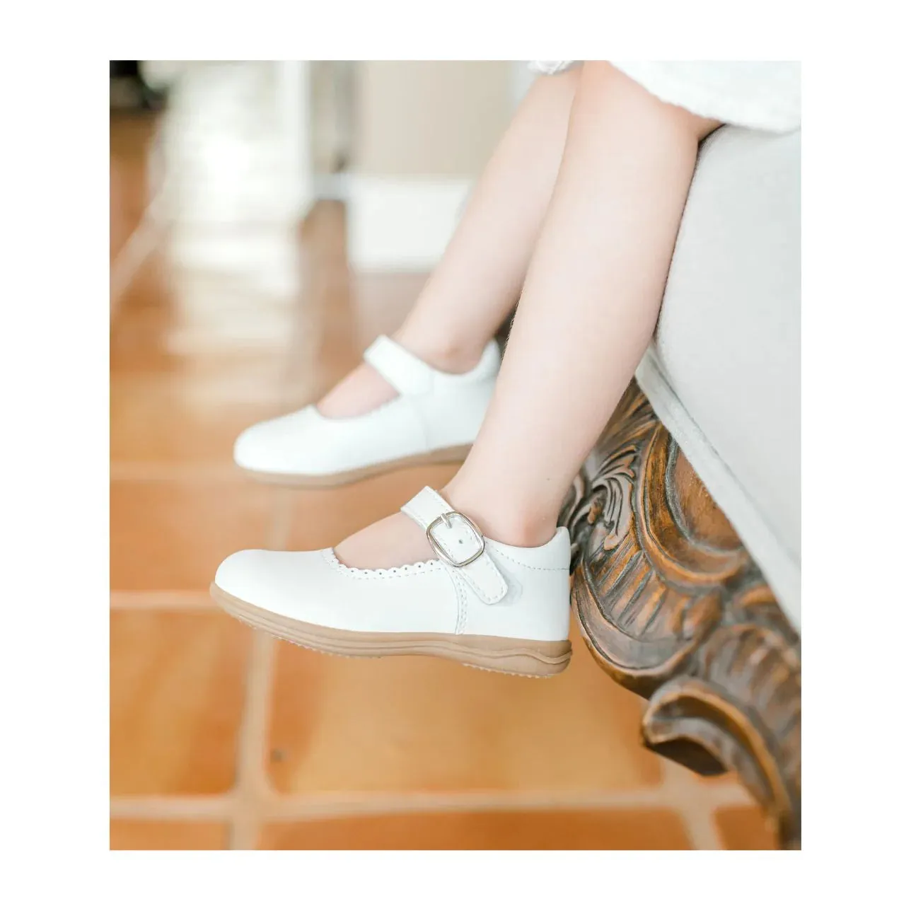 Chloe Scallop MJ - H-501