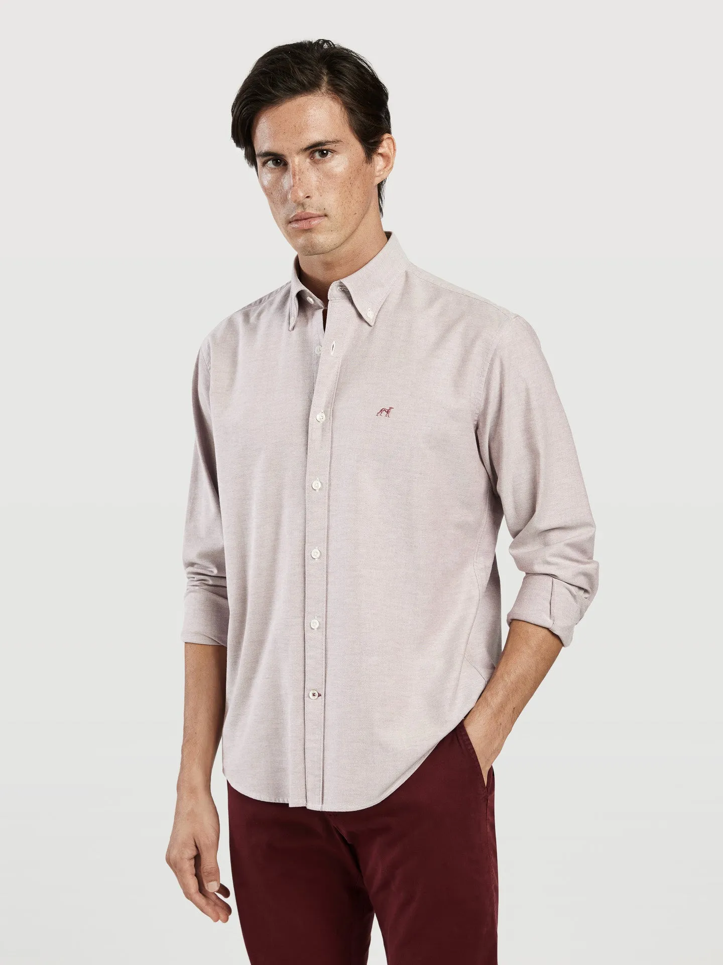 Regular fit 100I cotton plain oxford shirt